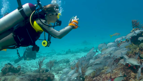 diver underwater