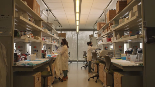 Researchers work in a lab