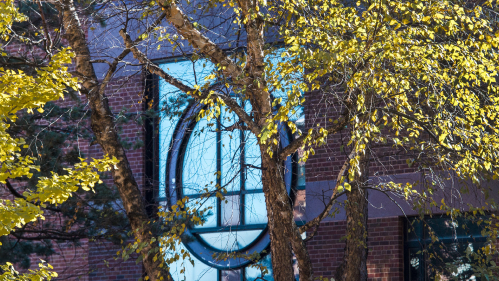Trees in front of a building