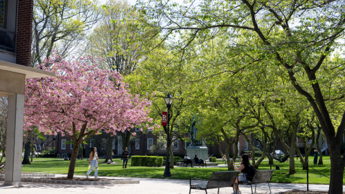 Voorhees Mall on a spring day