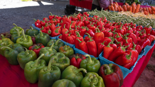 Rutgers Gardens staff and students sell freshly harvested produce, including peppers, at the Rutgers Farmers Market