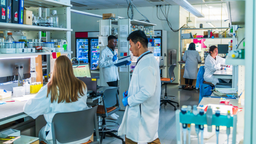 students working in a lab