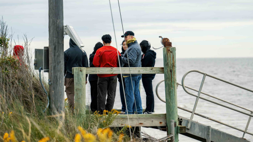 A group of people on a dock with seagrass in the foreground and a choppy Delaware Bay off to the right.