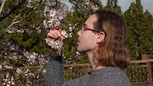 Rutgers graduate Evan Charles Keeton takes in the cherry blossoms at the Alishan National Forest Recreation Area in Taiwan.