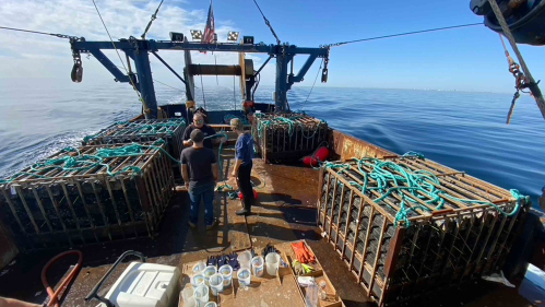 Equipment on the deck of a boat at sea that includes a crane and some wooden boxes containing clams