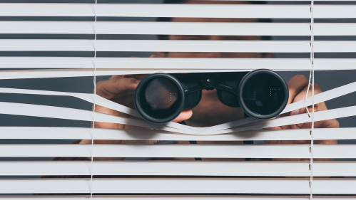 binoculars peering through blinds