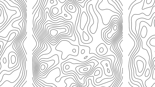 Swirls of black lines against a white background
