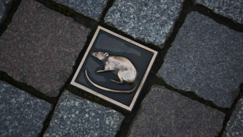 Flagstones, set diagonally, with a brass icon of a rat at the center