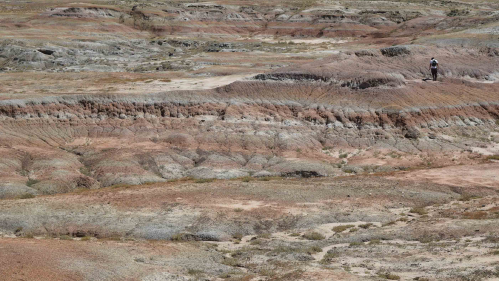 Bighorn basin in Wyoming showing a large span of rock of differing heights with striations of blue and red