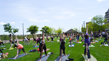 A large group of people practice yoga together on mats in a sunny park, all stretching with one arm raised toward the sky.