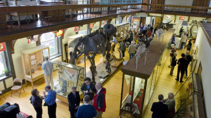 Geology museum