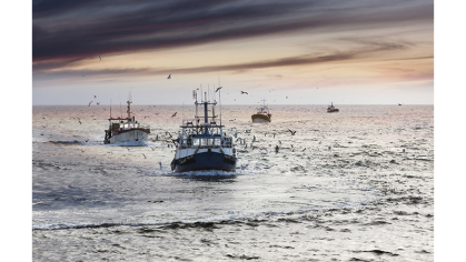 Fisheries
