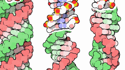 DNA