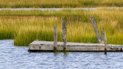 Marshland in the Delaware Bay, coastal New Jersey