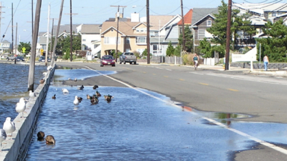 Flooding on a road along the NJ shore
