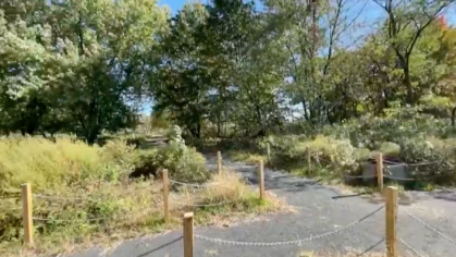 Walking paths cross in a section of Woodbridge where homes were flooded by Superstorm Sandy.