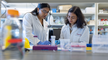 Two students working in a lab