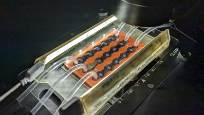 Microfluidic system used by the researchers to study the dissolution of calcium carbonate in marine snow mounted. 