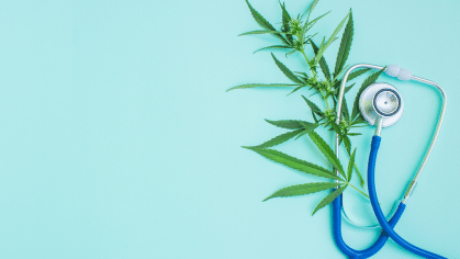 Cannabis and doctors