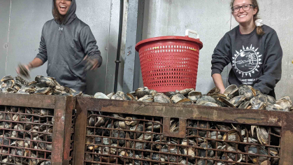 Students with clams