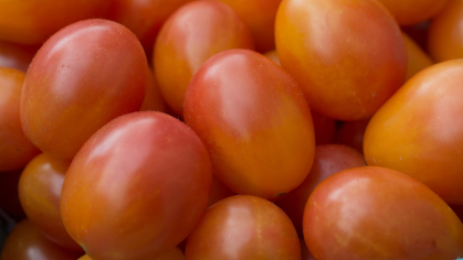 A mound of yellowish red grape tomatoes