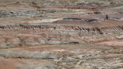 Bighorn basin in Wyoming showing a large span of rock of differing heights with striations of blue and red