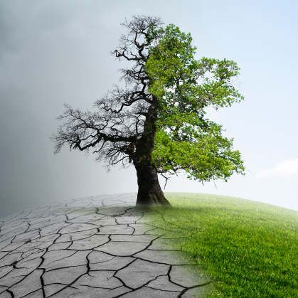 A split image shows two halves of a tree, one side, leafless with dry earth, the other green and flourishing.