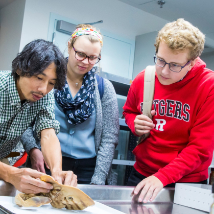 Students watching the inspection of a specimen in a lab setting
