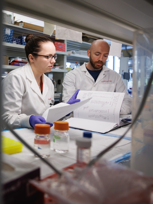 Researchers reviewing data