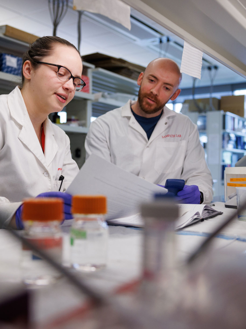 graduate students working in a lab