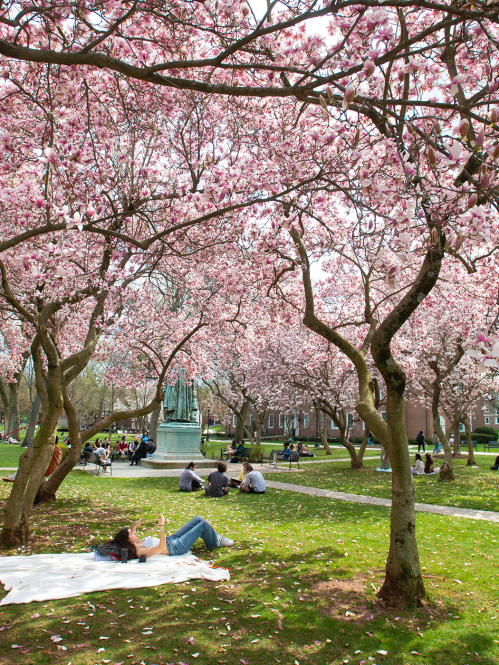 Voorhees Mall on College ave campus