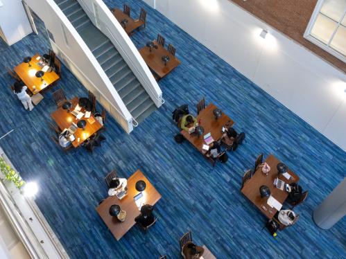 Students study at Alexander Library on the College Ave campus. The study areas at Alexander Library provide students with a productive learning environment.