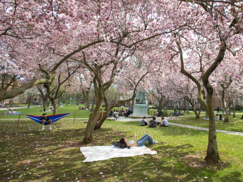 Students lounging on Voorhees Mall on a spring day