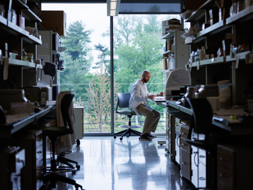 A graduate student conducting research in a lab