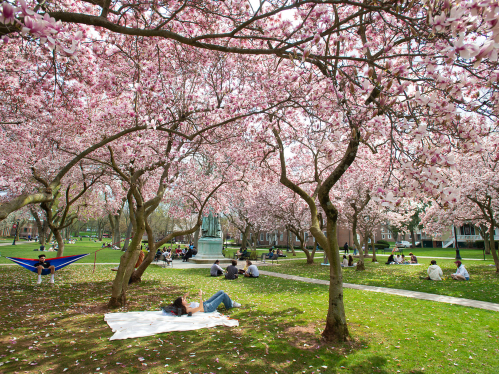 Voorhees Mall on College ave campus