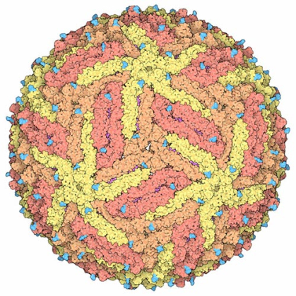 A yellow and orange ball with scattered blue dots representing an image of the Zika virus