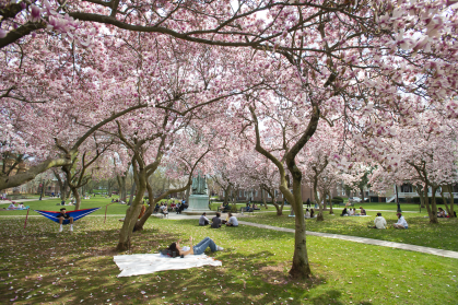 Students lounging on Voorhees Mall on a spring day.