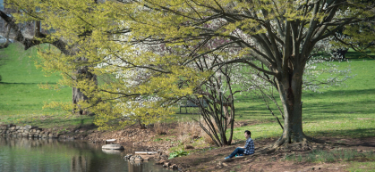 man sitting under the tree at puddle pond