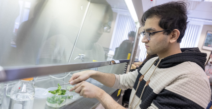 Akhil Botadra (SEBS '25) works on plant tissue culture techniques in Plant Tissue Culture and Engineering course at SEBS, gaining hands-on experience in plant biotechnology.