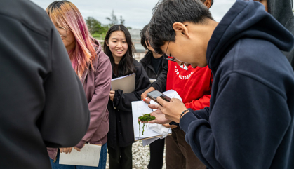 A student at the center of a group is examining algae and photographing it.