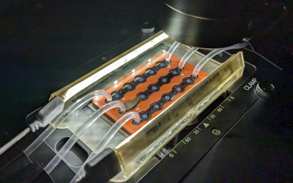 Microfluidic system used by the researchers to study the dissolution of calcium carbonate in marine snow mounted. 
