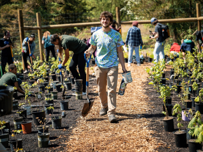 A student walking through just planted trees