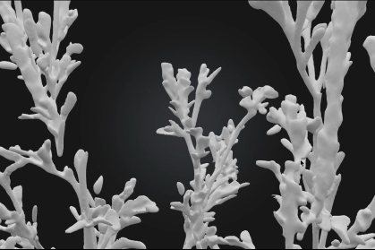 3)	Research Image from Bodies of Flora (Schweinitz's Waterweed Reconstruction, B&W), 2025. Screenshot of AI-generated 3D model, generated from archives. 