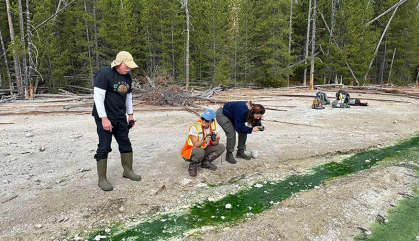 Three people studying the ground before them.