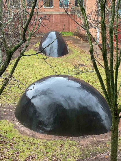 "Neither Whales nor Turtles" is in the courtyard of the Center for Advanced Biotechnology and Medicine on Busch campus at Rutgers-New Brunswick.