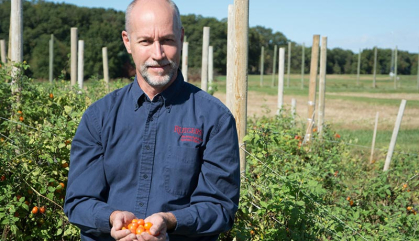 It took more than a decade for plant breeders Peter Nitzsche (in photo) and Tom Orton to develop the 'Scarlet Sunrise' tomato. Nitzsche holds samples of the tomato to be showcased at the Open House and Tomato Tasting Event Aug. 27.