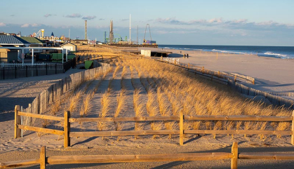 Dune grass built on sand dunes facing the Atlantic Ocean