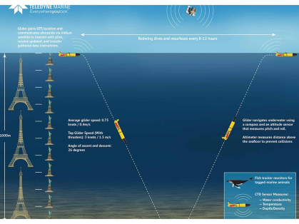 Graphic showing the way the Redwing glider moves through the ocean