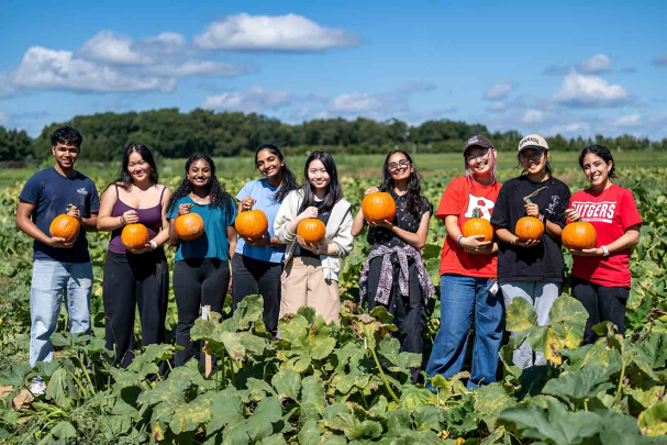 Honors College students from Rutgers-New Brunswick picked pumpkins after lunchtime at Snyder Farms. 
