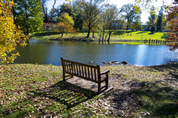 Bench in front of Passion Puddle on a bright fall day on Cook Campus